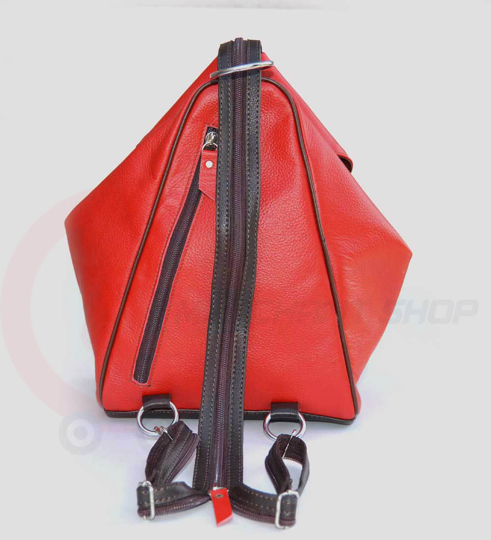 Student-Leather-Backpack-Red-Back
